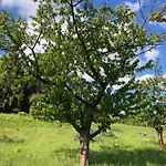 Premium Suedsonne Appartamento Witzenhausen